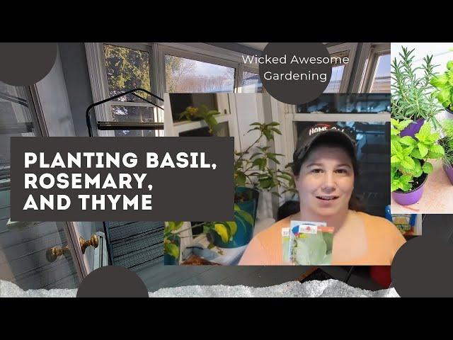 Planting BASIL, SAGE, and ROSEMARY for my seedling sale and garden