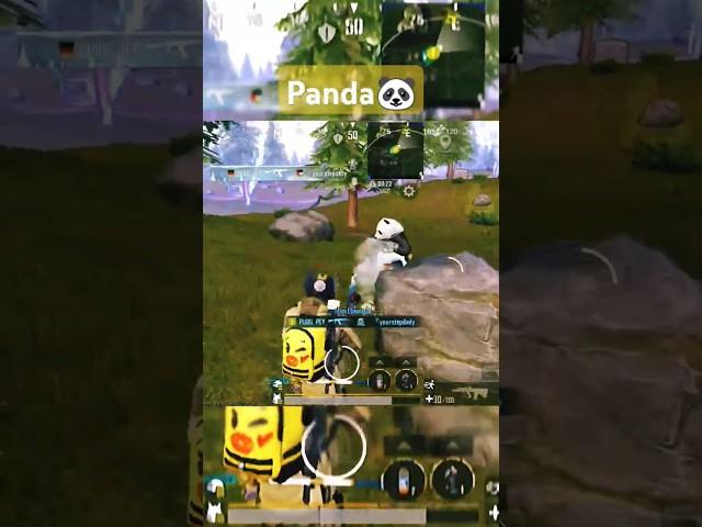 PANDA in PUBG  #pubgmobile #pubg #panda #Shorts