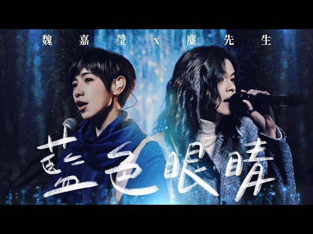 魏嘉瑩 Arrow Wei【藍色眼睛】feat.麋先生 Live MV