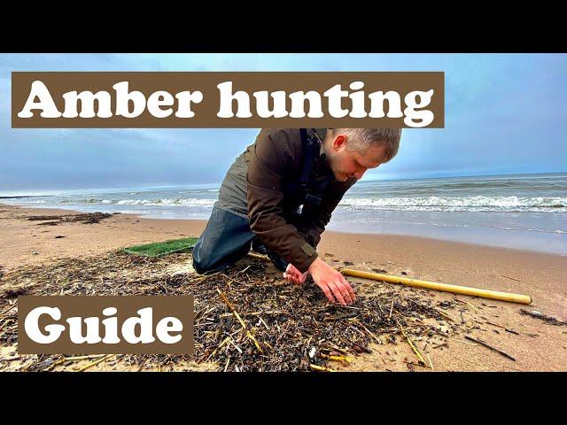 How to find Baltic amber in the Baltic sea - Amberhunting