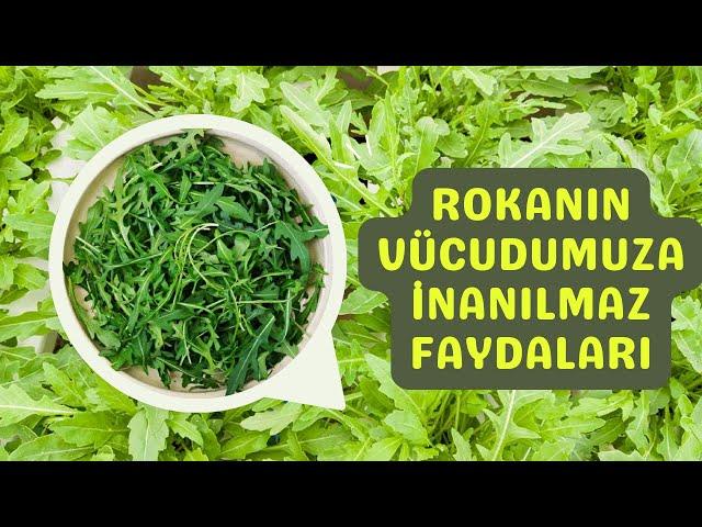 Rokanın Faydaları Nelerdir? Roka Yemenin Vücuda Yararları Neler?
