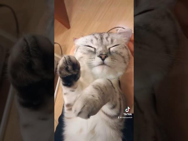 Не останавливать