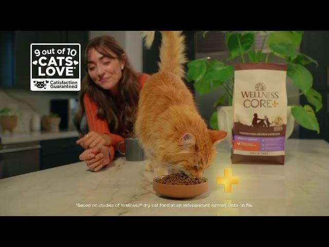 Wellness CORE+ Cat Food