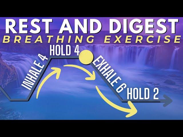 Rest and Digest Breathing Exercise (4-4-6-2)