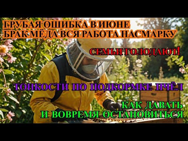 ГРУБАЯ ОШИБКА В ИЮНЕ И ВСЯ РАБОТА ПО СЕЗОНУ КОТУ ПОД ХВОСТ не допусти БРАК МЁДА как ДАВАТЬ СИРОП️