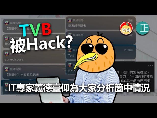 20220503E TVB被Hack？ IT專家義德臺仰為大家分析箇中情況