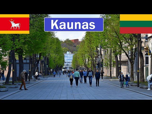 Lithuania, Kaunas walk in Liberty Avenue and old town [4K]