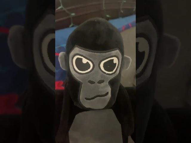 Hmmmm I wonder which one is it? #creepy #scary #gorillatag #gtag #starwars