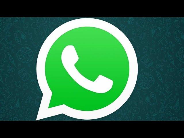 Всё о СТАТУСЕ в WhatsApp | Как создать, переслать и удалить статус | Как отвечать на статусы друзей