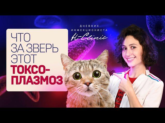 ТОКСОПЛАЗМОЗ. Чем опасны котики? Лимфоузлы, беременность, головные боли