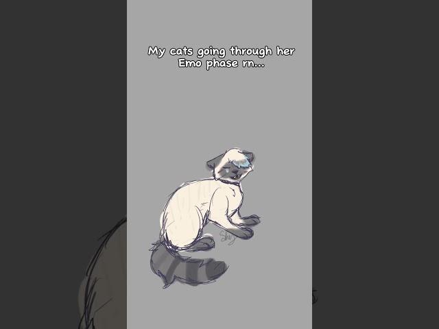 She’s going through a phase…#art #cat #emo #animatic