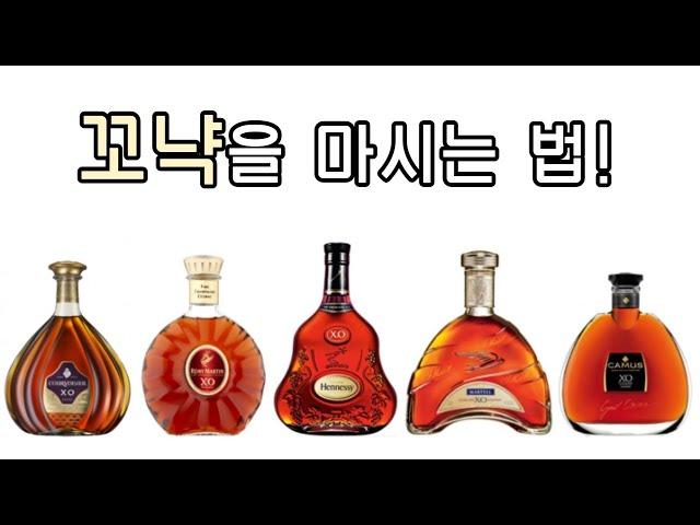 브랜디? 꼬냑? 뭐가 달라? 어떻게 마셔야해요?