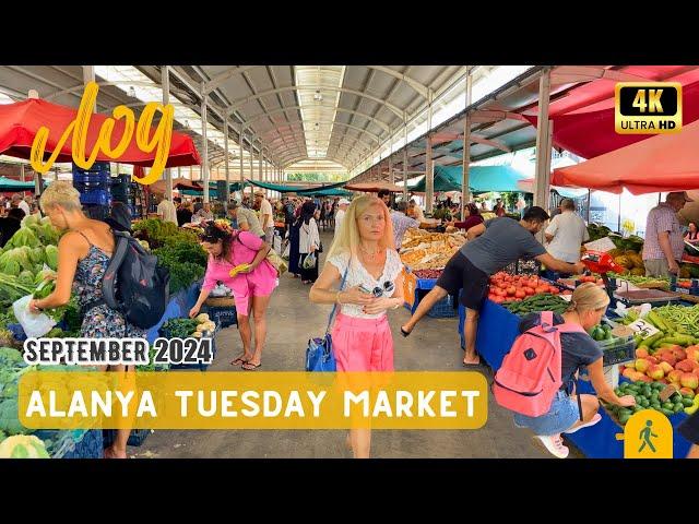 The WildeThe Wildest Market in Turkey | Alanya Tuesday Market | Bazaar Walking Tour | September 2024