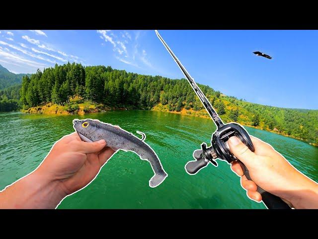 GIANT Swimbaits vs GIANT Smallmouth! (PB CAUGHT!!)