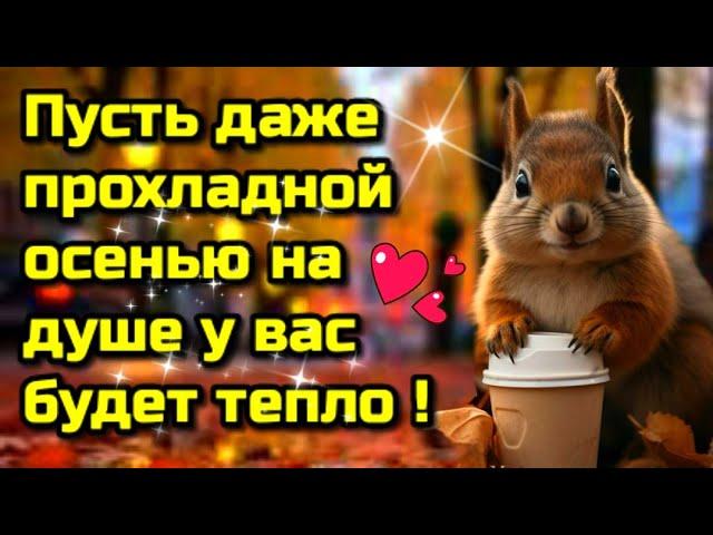 Самого доброго осеннего  утра!Благословенного дня!Красивая музыкальная открытка