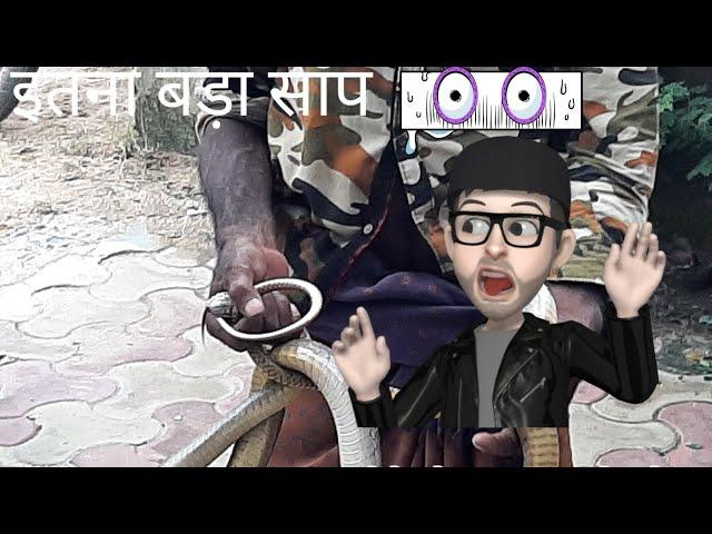 Large snake caught by the snake charmer