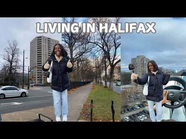 VLOG: First full day in Halifax, Nova Scotia + Using the bus for the first time