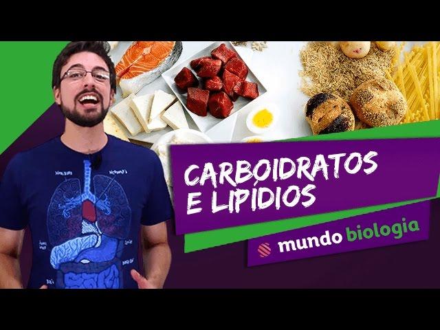  Bioquímica (3/5): Carboidratos e Lipídios - Biologia - ENEM