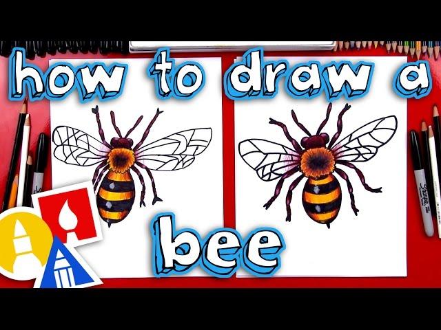 How To Draw A Realistic Bee
