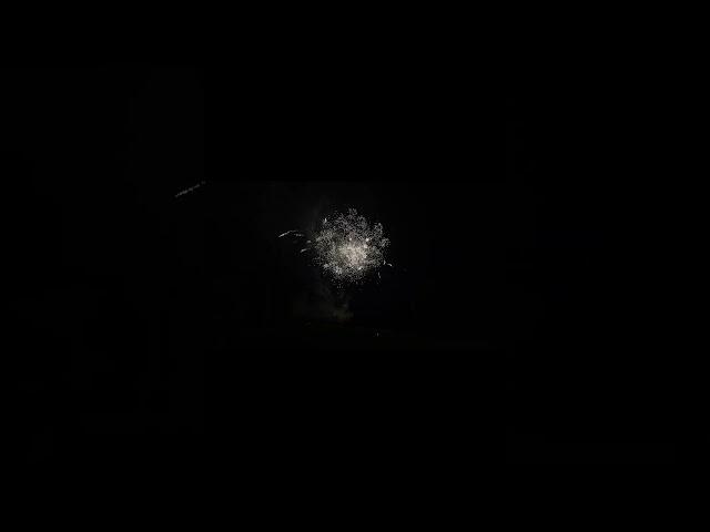 Spectacularis Teil 2 F2 Feuerwerksbatterie von Blackboxx
