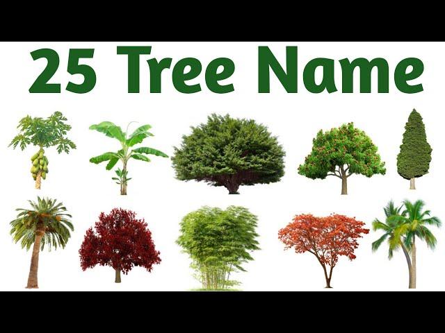 25 Types of Plants and Trees name in English |  Plants and Trees Vocabulary | Trees and Plants