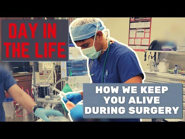 Day in the Life of a Stanford/Harvard-Trained Anesthesiologist: How We Keep You Alive During Surgery