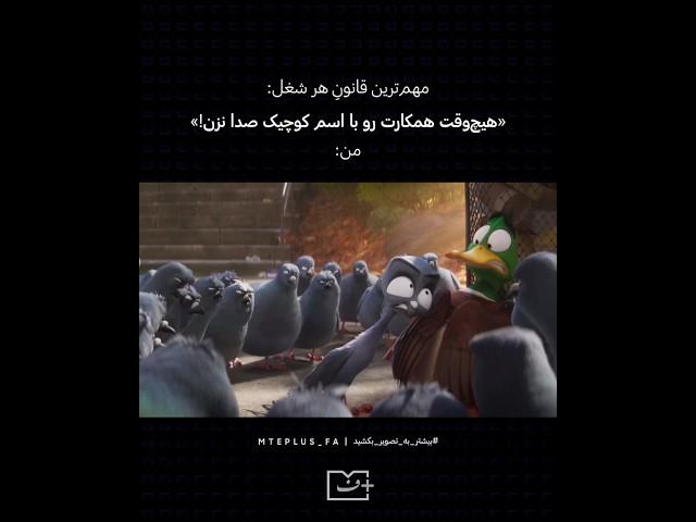 مهم‌ترین قانون هر شغل…  #انیمیشن_مهاجرت #شغل #کار #میم #فان #MigrationMovie #Animation #MTEPlusFa