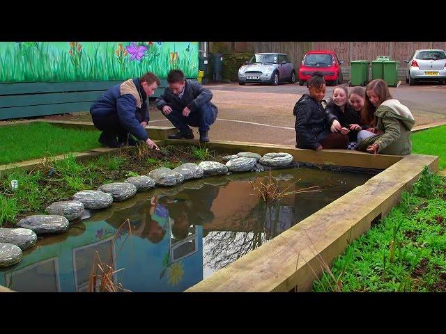 Stopping Flooding With Sustainable Gardens | Bang Goes The Theory | Earth Science