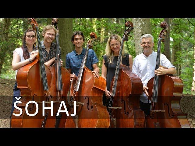 VAČKÁŘ Šohaj | double bass quintet | Božo Paradžik & students