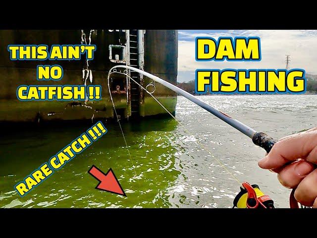 SURPRISE CATCH fishing at THE DAM on the TENNESSEE RIVER !!