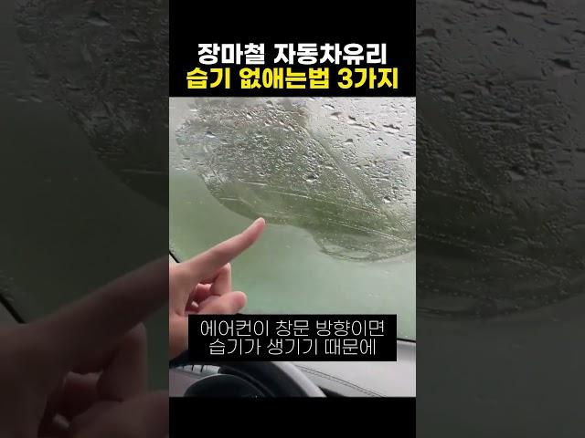 장마철 자동차유리 습기 제거법 3가지