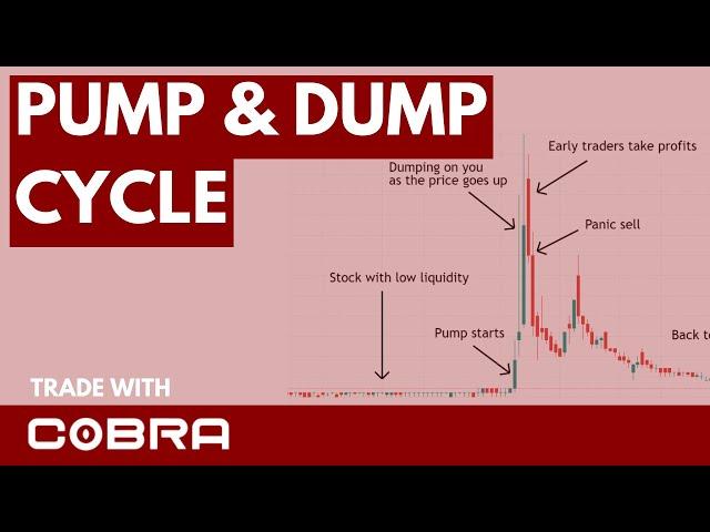 Pump and Dump Stocks Explained in 10 Mins