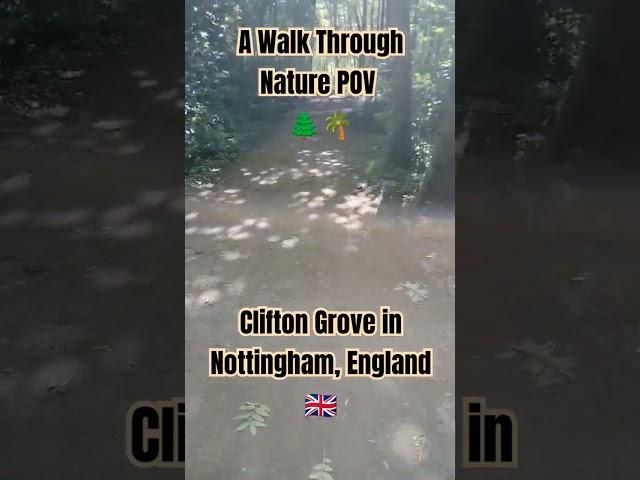 The Enchantment of Clifton Grove: A Summer Walk!  #Shorts