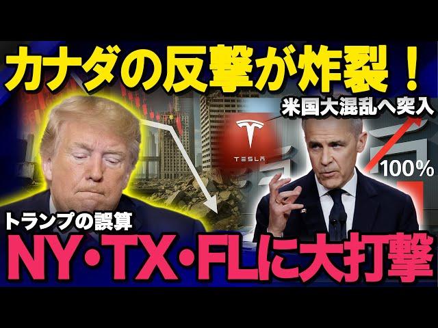 [Slow commentary] Canada begins retaliation! 100% tariffs on Tesla, devastating the tourism indus...