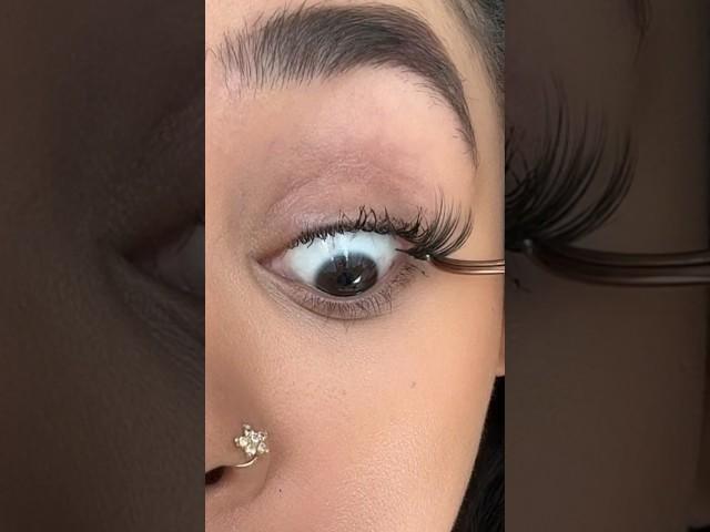 A new way I do my DIY lash extensions. These usually last me up to three weeks!