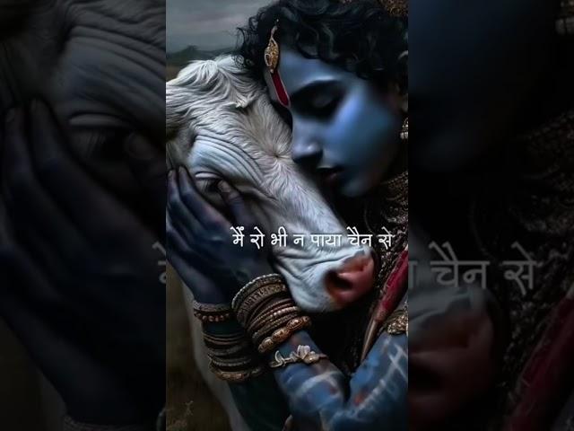 #shortsfeed #youtubefeeds #youtubeshorts #shorts #trending #trend #shortsfeed #shortvideo #krishna