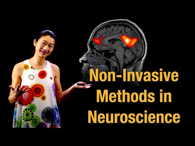 Non-invasive Methods in Neuroscience, fMRI, MEG, EEG