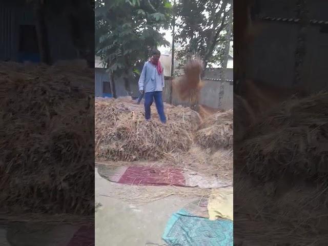 Track tar video #Short#Bikram roy 555