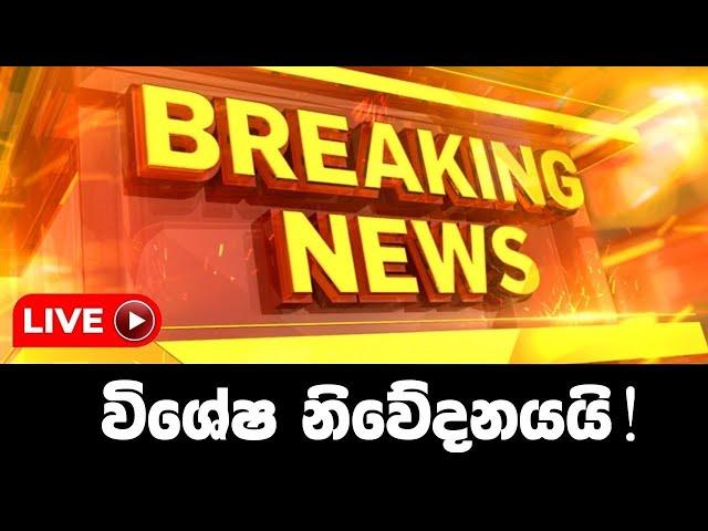 Breaking News! Here is latest news aragala