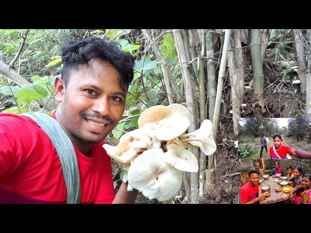 Mushroom VeryTasty | Wild Bamboo Mushroom Cooking And Eating Show |Odisha Rural Village Vlog