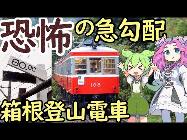 【謎】日本一の急勾配電車 箱根登山電車 三線軌条の謎 80‰の急勾配 R30の急カーブの謎