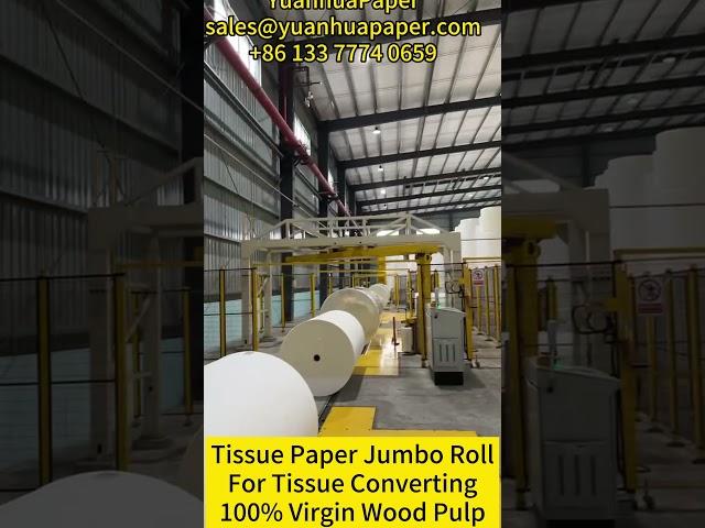 Original factory of tissue paper jumbo rolls supply tissue raw material for tissue converting