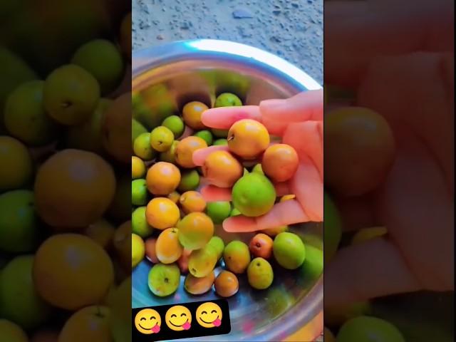 spicy boroi makha ️ #food #asmr #spicy #fruit #bhukkadpooja #pooja