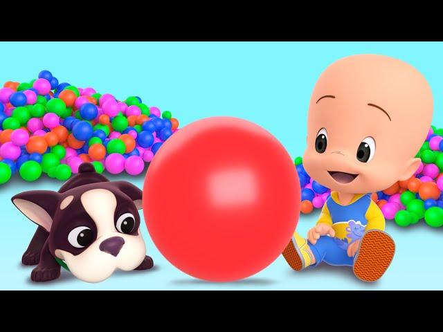 Cuquin's ball: learn the colors  | videos & cartoons for babies