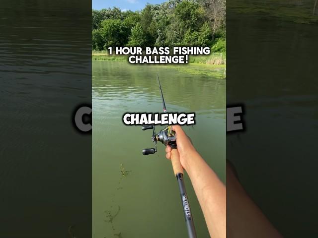 We Caught So Many Bass In One Hour! ‍ #fishing #bassfishing #largemouthbass #fishingvideo