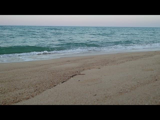 Little crabs on a beach