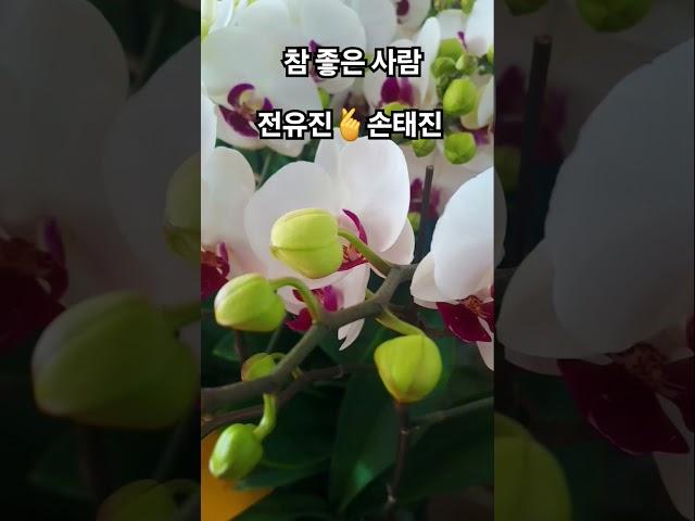 참 좋은 사람   전유진  손태진
