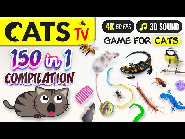 CAT TV - 150 in 1 Ultimate Compilation   Game for cats  10 HOURS 4K