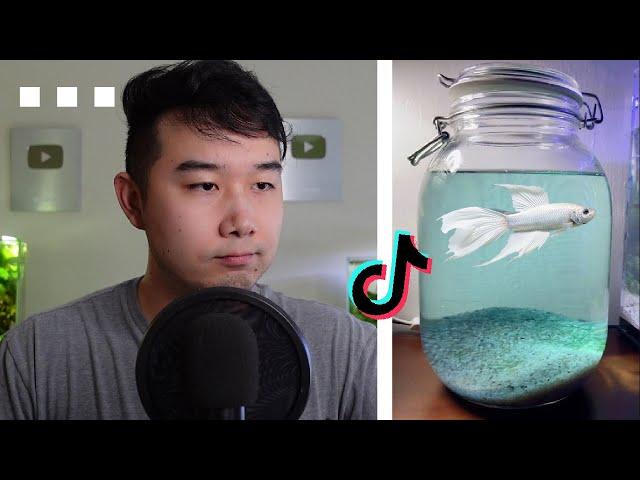 TikTok's BETTA FISH Jars are CRAZY | Fish Tank Review 230