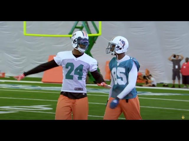 Hard Knocks: Dolphin's Fights & Heated Moments